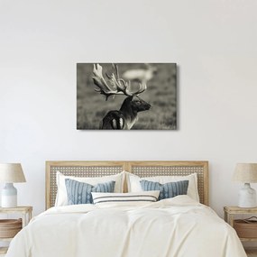Tablou - Cerb (90x60 cm)
