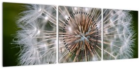 Tablou cu păpădie (cu ceas) (90x30 cm)