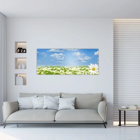 Tablou cu luncă înflorită cu margarete (120x50 cm)