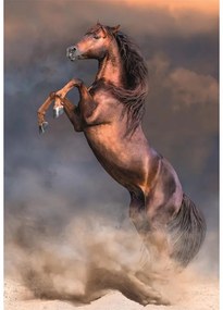 Cal Wild Stallion Puzzle compact Clementoni de 500 piese