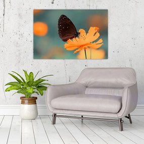 Tablou - fluture pe o floare portocalie (90x60 cm)