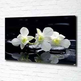 Tablou canvas Orhidee