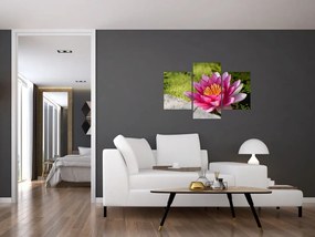 Tablou - Lotus (90x60 cm)