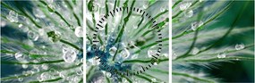 Tablou - Imagine macro a unei flori (cu ceas) (90x30 cm)