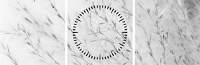Tablou - Iarbă de pampas N⁰2 (cu ceas) (90x30 cm)