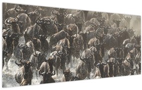 Tablou - Turmă de antilope sălbatice (120x50 cm)