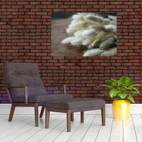 Tablou - Coadă de iepure (90x60 cm)