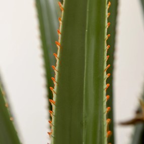 HOMCOM Yucca Artificială de 190 cm, Plantă Artificială cu 39 de Frunze pentru Decor Acasă, Birou, Grădină Ø17x190 cm Verde | Aosom Romania