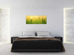 Tablou - Câmp cu cereale (120x50 cm)