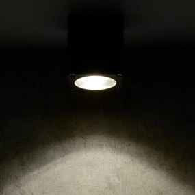 Aplică de exterior MORRIS 1xGU10/35W/230V IP54