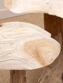 Set 3 ciuperci decorative din lemn de tec, "Sylve"
