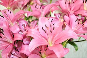 Tablou - Liliac roz (90x60 cm)