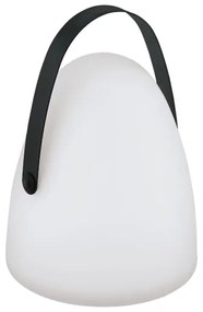 Lampă LED de masă Eglo 48841 COLLIRADOS LED/3xAA IP44