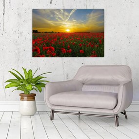Tablou cu câmp cu maci (90x60 cm)