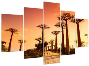 Tablou - Apus de soare pe Aleea Baobabilor (150x105 cm)