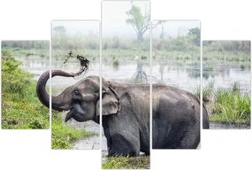 Tablou - Elefant de scăldat (150x105 cm)