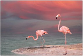 Tablou - Flamingo (90x60 cm)