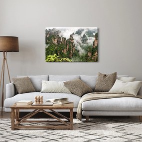 Tablou - Parcul Național Zhangjiajie, China (90x60 cm)