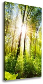 Imprimare tablou canvas Soare în pădure