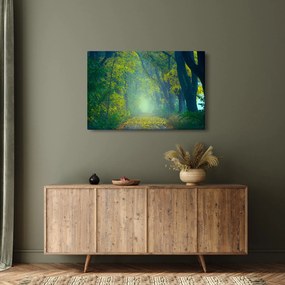 Tablou cu drum dea lungul cu copaci (90x60 cm)