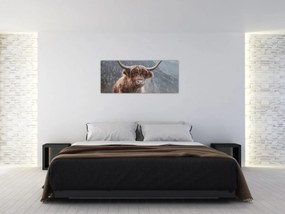 Tablou - Vaca Highlander (120x50 cm)
