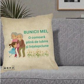 Cadou pentru Bunici - Perna Personalizata Bunicii Mei Comoara Iubire Intelepciune Nepoata, 40x40 cm, Crem, Husa Detasabila, Perna Inclusa, BEKZ®