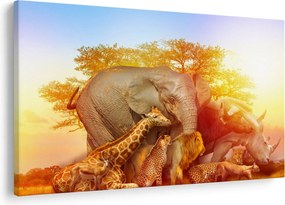 Tablou - Animale africane (90x60 cm)