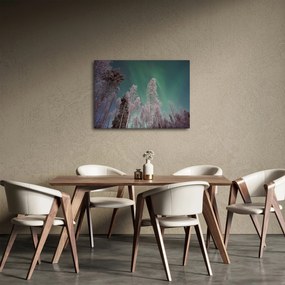 Tablou cu aurora borealis deasupra pomilor înghețați (70x50 cm)