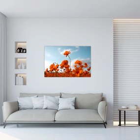 Tablou - Flori sălbatice (90x60 cm)