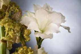 Aranjament floral mediu design LUX SQUARE TEBE