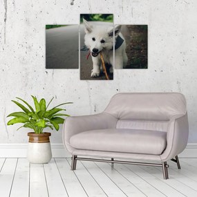 Tablou cu câinele alb (90x60 cm)
