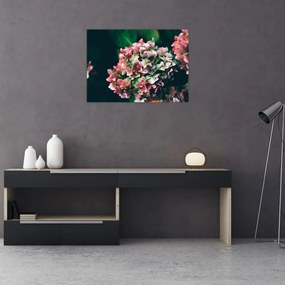 Tablou - Hortensie (70x50 cm)