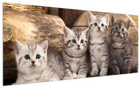 Tablou cu pisici mici (120x50 cm), în 40 de alte dimensiuni noi
