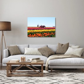 Tablou pe sticlă cu farma de lalele (70x50 cm)