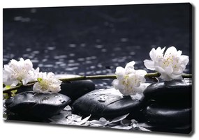 Print pe canvas Floare de cires