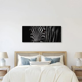 Tablou cu zebră (120x50 cm)