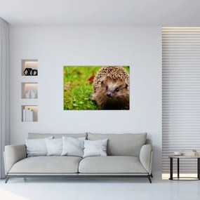 Tablou cu arici (90x60 cm)