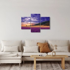 Tablou cu lunca cu lavandă (90x60 cm)