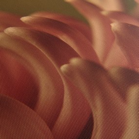 Tablou cu detailu florii (70x50 cm)