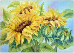 Tablou - Floarea soarelui înflorită (70x50 cm)