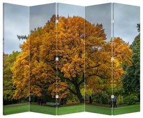Paravan - Copac (210x170 cm)