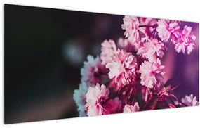 Tablou cu florile copacilor (120x50 cm)