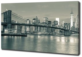 Tablou canvas Manhattan new york city