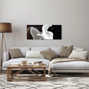 Tablou - laptele de cocos (120x50 cm)