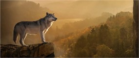 Tablou - Lup pe stăncă (120x50 cm)