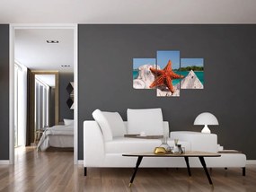 Tablou cu stea de mare (90x60 cm)