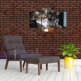 Tablou cu pisica (90x60 cm)