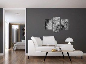 Tablou - mulțime de păpădii (90x60 cm)