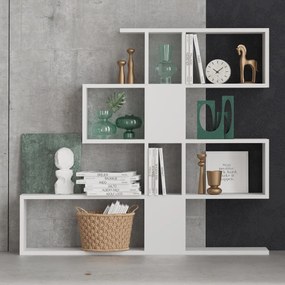 Biblioteca Karlin White