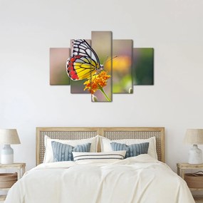 Tablou - Fluture pe floare (150x105 cm)